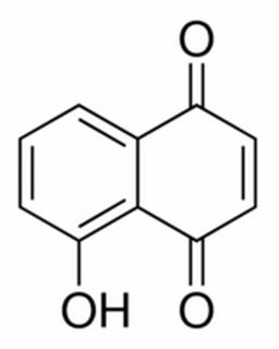 中藥標(biāo)準(zhǔn)品